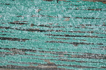 Abstract texture of green peeled paint on wooden surface under white frost, background for banner, green background for poster, painted bench texture, wooden texture of old tree, gray old tree and gre