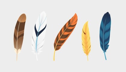 Beautifully arranged feathers showcasing nature's intricate patterns and colors