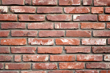 Naklejka premium red brick wall