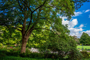 Obraz premium View of Planten und Blomen Park in Hamburg, Germany