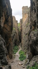 Fototapeta premium Serene Canyon Hiking Trail Through Majestic Rocks