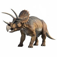 Fototapeta premium Triceratops Dinosaur Isolated White Background