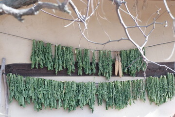 시래기 말리는 풍경