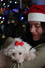 Un perro de raza Caniche o Pudder con un lazo  de color rojo en los brazos de una mujer latina adulta con un árbol de navidad de fondo con un efecto bokeh. Fiesta de fin de año.