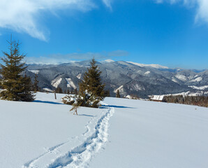 Fototapeta premium Picturesque winter morning mountain view from alpine path with footprint. Skupova mountain slope, Ukraine, view to Chornohora ridge and Pip Ivan mountain top, Carpathian.