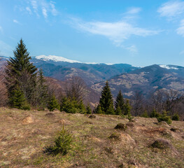 Obraz premium Early spring Carpathian mountains plateau landscape with snow-covered ridge tops in far, Ukraine.