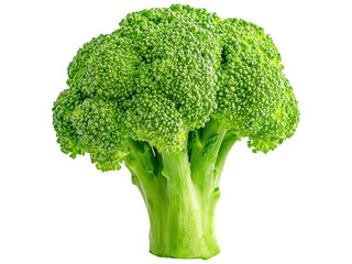 Fresh Green Broccoli Vegetable with Vibrant Color and Detail