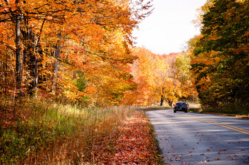 A car with bikes on the back drives down a road through trees during autumn in northern Michigan