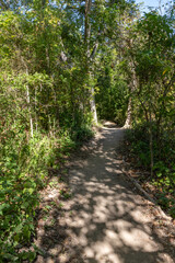 Obraz premium Trail around Guadalupe river