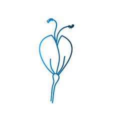 Flower icon illustration template