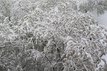 heavy snowfall in the city.view from the window