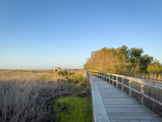 Fototapeta premium Walkways Barrinha of Esmoriz, situated between the municipalities of Espinho and Ovar, Portugal.