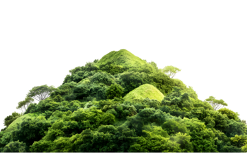 Rocky mountain hill covered in lush green forest