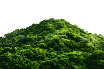 Fototapeta premium Rocky mountain hill covered in lush green forest