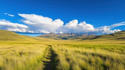 Fototapeta premium Scenic mountain landscape with grassy field and dirt path under a blue sky.