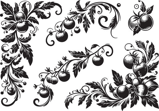 Tomato plant in victorian flourish decoration, corner border, black and white illustration,