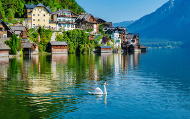 Nestled between majestic mountains, Hallstatt reveals charming houses reflecting on calm waters. A...