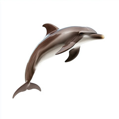Obraz premium Dolphin isolated on white background