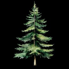 Obraz premium Pine Tree Watercolor Illustration