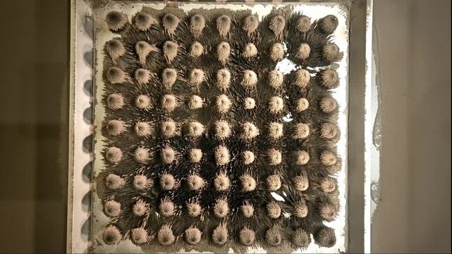 Magnetic Dancing shavings of metal 