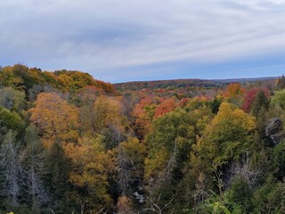 Obraz premium autumn in the mountains