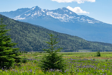 Obraz premium landscape in the mountains