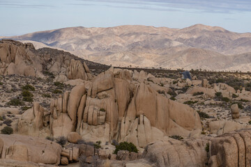 Weathered Granitic Rocks. White Tank Quartz Monzonite. Skull Rock Nature Trail，Joshua Tree...