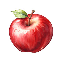 Red apple watercolor illustration