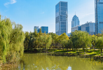 Fototapeta premium Beautiful landscape of golden autumn season at Yinzhou Park, with background of modern buildings of Southern Business District (Ningbo CBD) in Ningbo, Ningbo, Zhejiang, China