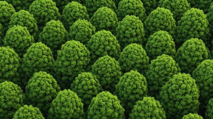 A lush aerial view of vibrant green bushes creating a natural, serene landscape.