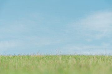 Fototapeta premium 草原と青空のイメージ写真 