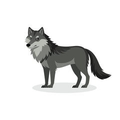 Fototapeta premium Wolf isolated flat vector illustration on white background