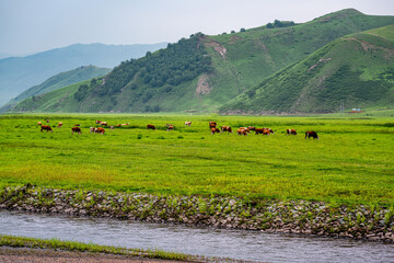 Wulan River and grassland in Inner Mongolia, China