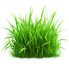 A clump of green grass isolated on white background. Suitable for marketing or business purposes. PNG file