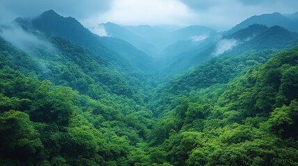 Obraz premium Lush green mountains shrouded in mist, creating a serene and tranquil landscape.