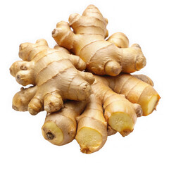 Fresh ginger roots piled together on a white background.