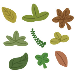 Various green leaf collection clipart
