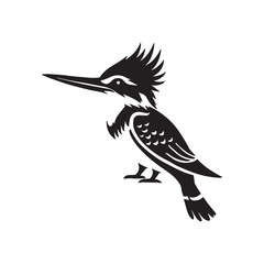 illustration of a bird