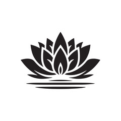 lotus flower illustration