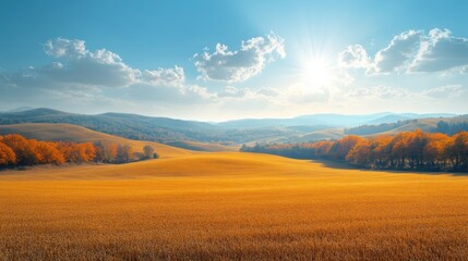 Obraz premium Serene autumn landscape with golden fields and a bright sky.