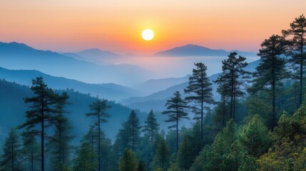 Serene sunset over misty mountains with silhouetted trees.