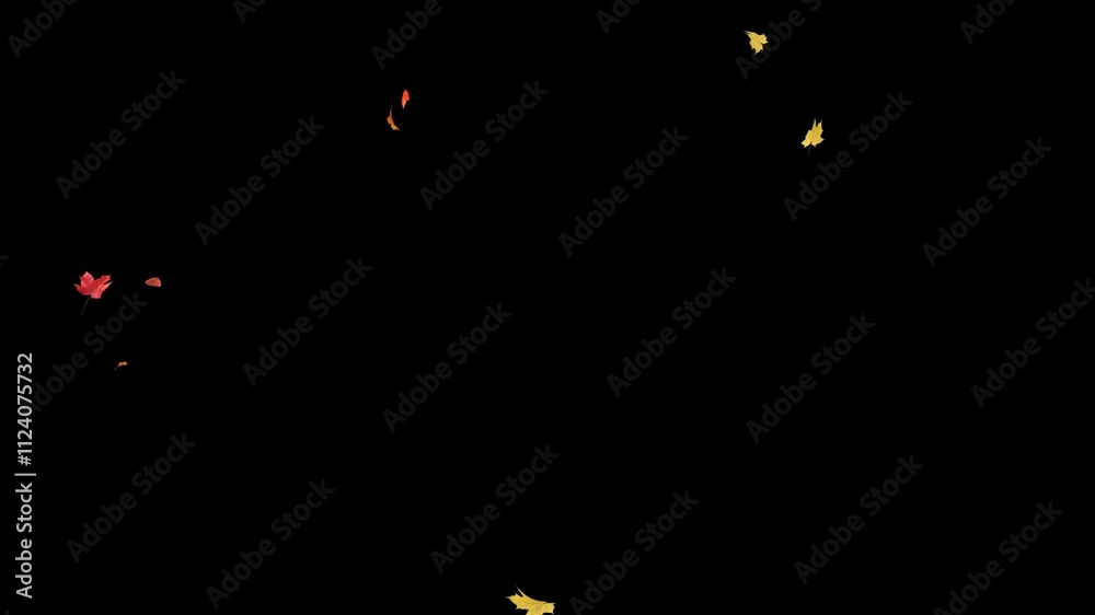 Wall mural maple leaves falling on alpha channel. 3d rendering. maple leaves falling with alpha channel you can