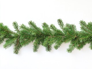Obraz premium Christmas Tree Branch
