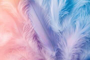 Fototapeta premium Soft pastel pink and blue feathers. Perfect for backgrounds, dreamy designs, or feminine projects.