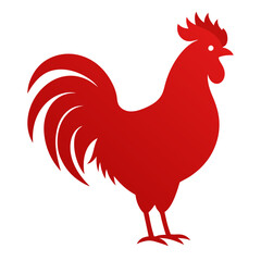 rooster isolated on white