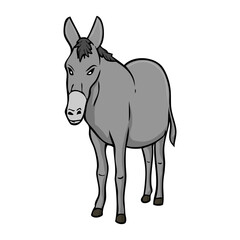 donkey vector illustration