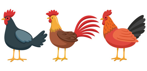 Three vibrant rooster vector illustrations in minimalist style, showcasing colorful feathers and simple designs