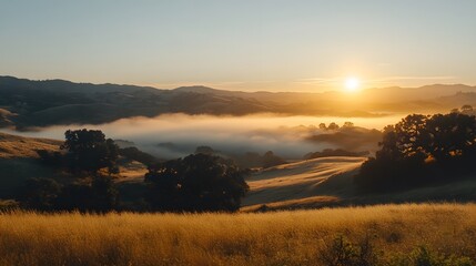 Fototapeta premium Breathtaking sunrise over misty hills and golden grasslands.