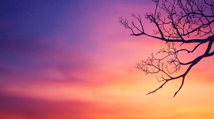 Fototapeta premium A serene sunset scene featuring a colorful sky and a silhouetted tree branch against a vibrant backdrop.