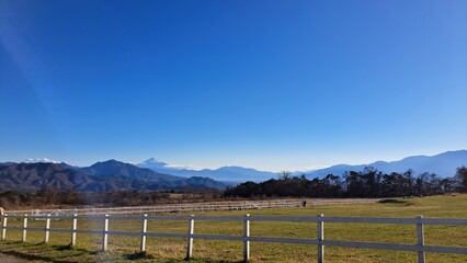 Fototapeta premium 高原と富士山と青空の風景
